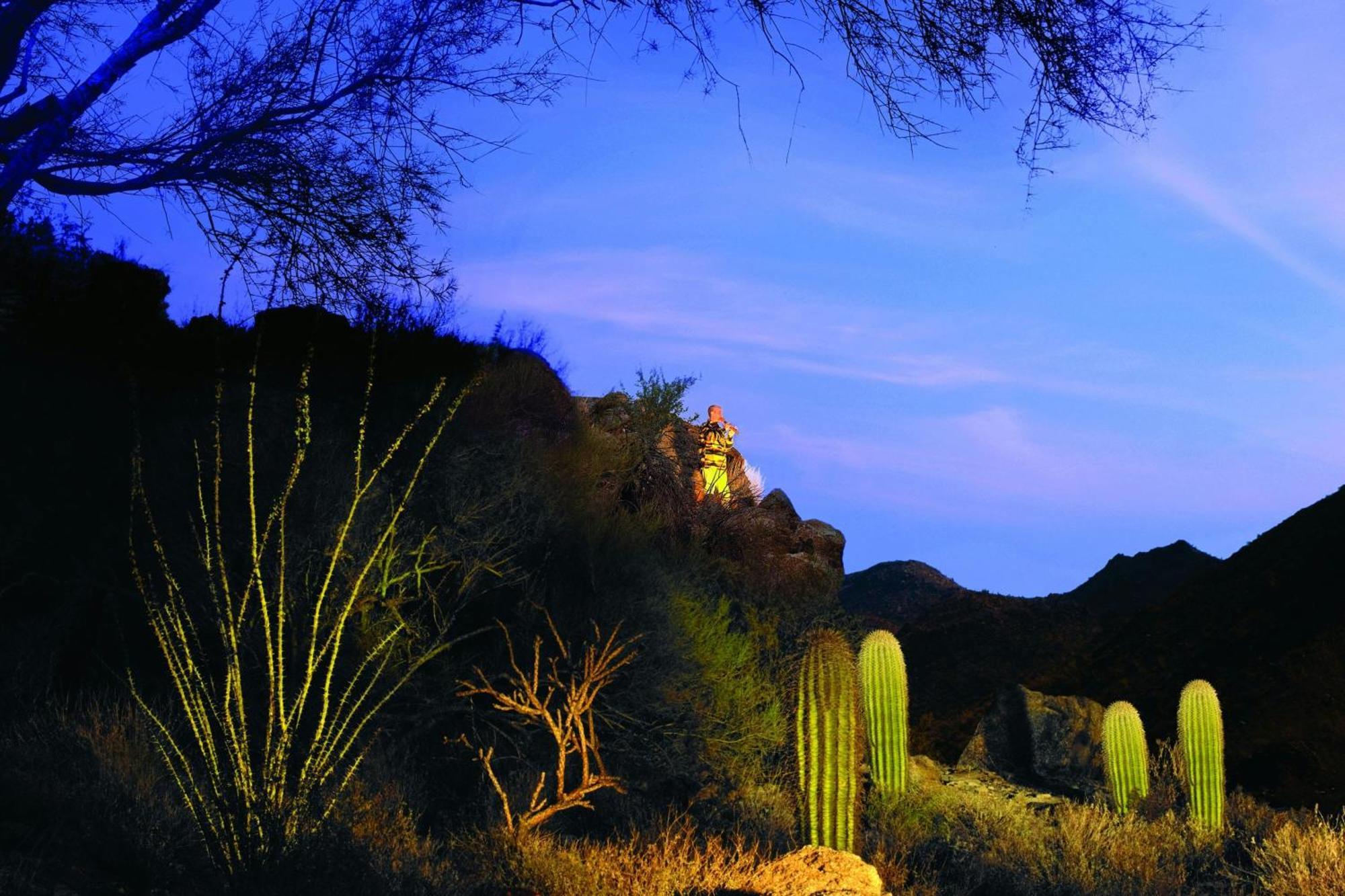 Hotel The Ritz-Carlton, Dove Mountain Marana Exteriér fotografie